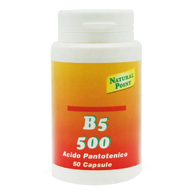 B5 500 50CPS