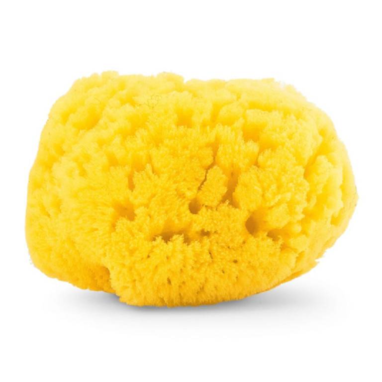 CH SPUGNA MARE GRANDE