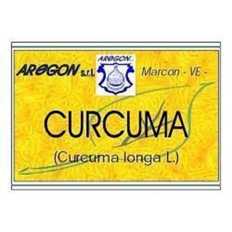 CURCUMA 60CPS 500MG