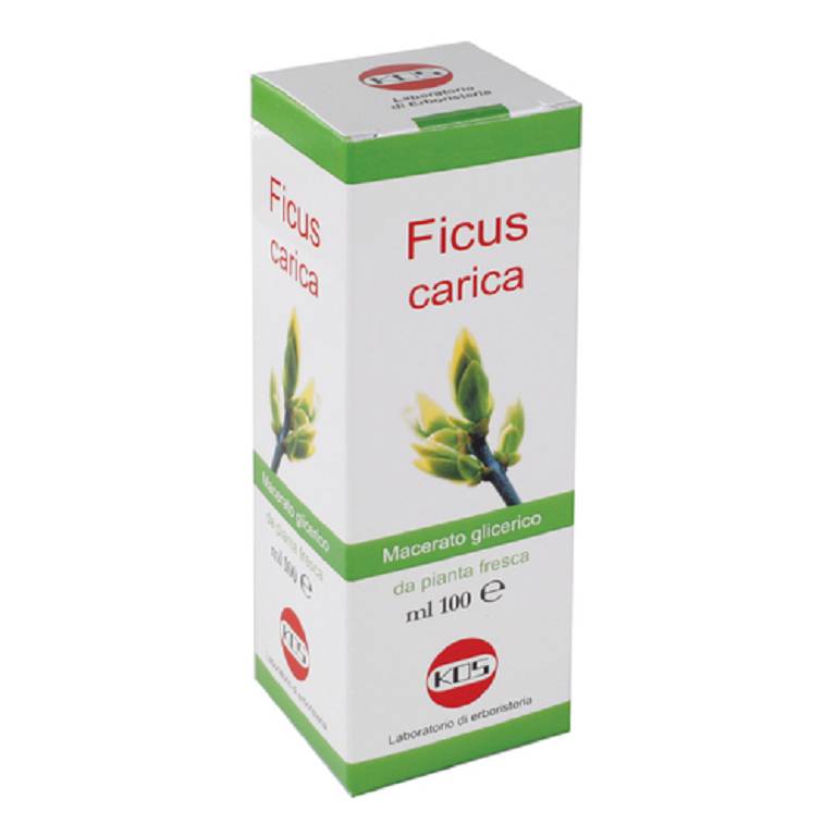 FICUS CARICA MG 100ML