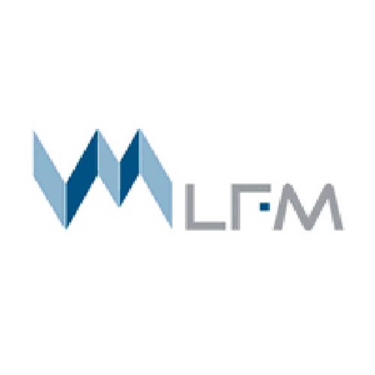 FUROSEMIDE L.F.M.*60CPR 25MG