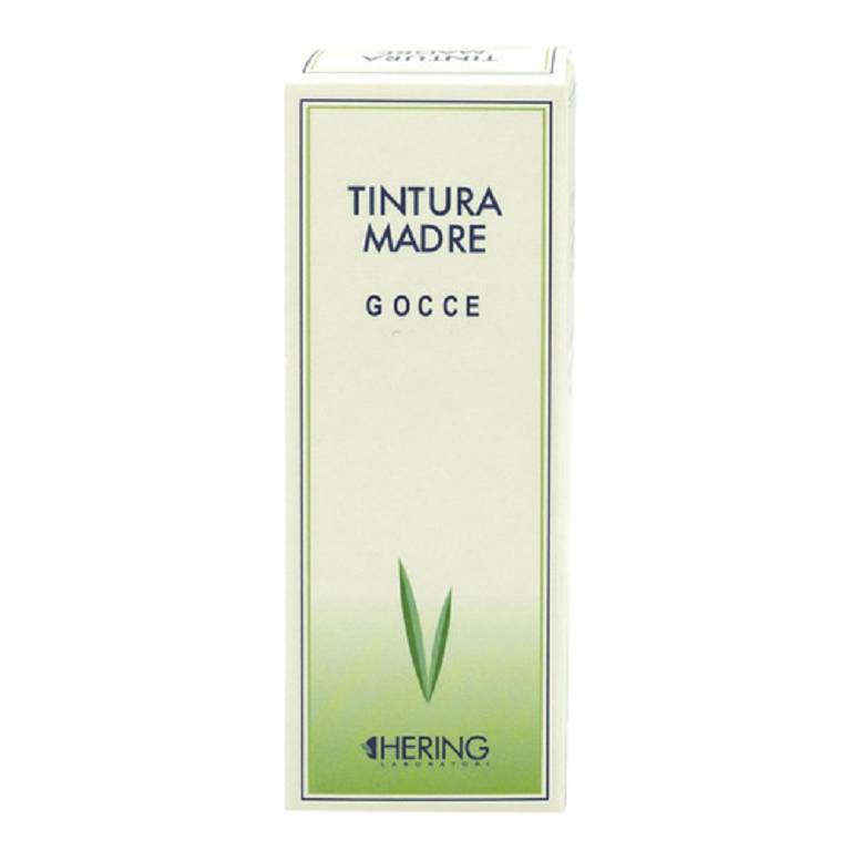 GINKGO BILOBA TM 60ML