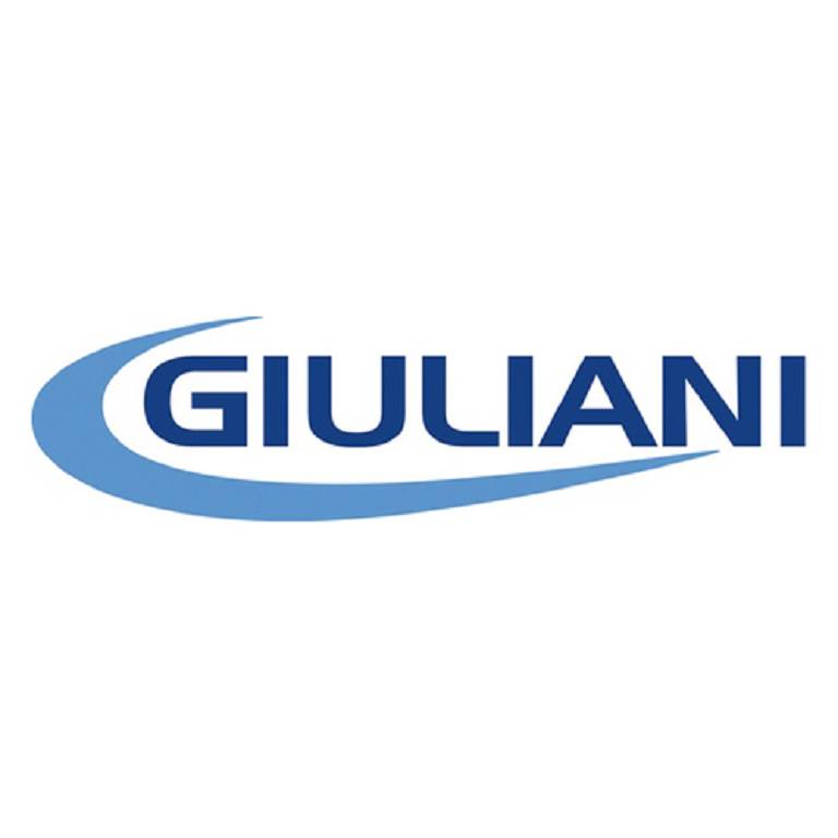 GIUSTO S/G PANETTONE 400G
