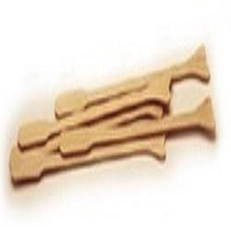GYN SPATULA AYRE LEGNO 29745