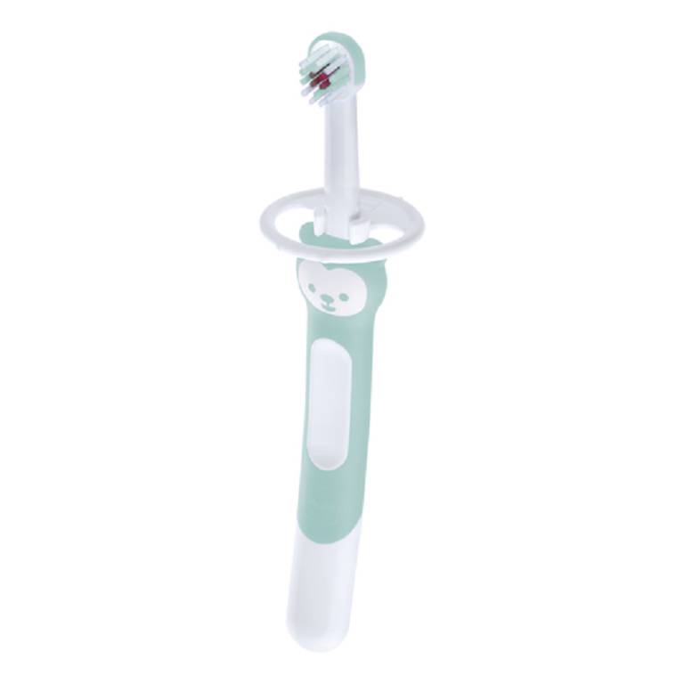 MAM TRAINING BRUSH 5+ MASCHIO