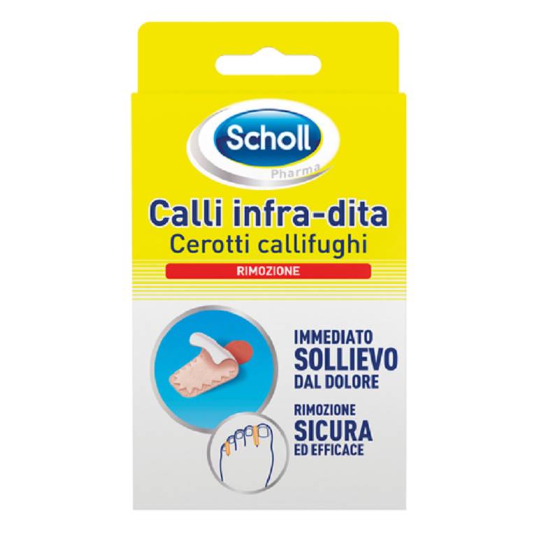 SCHOLL CER CALLIF CAL INFRADIT