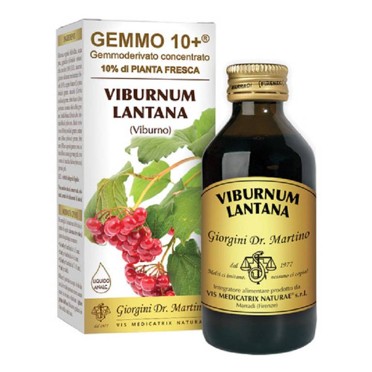 VIBURNO LIQ ANALCOLICO 100ML