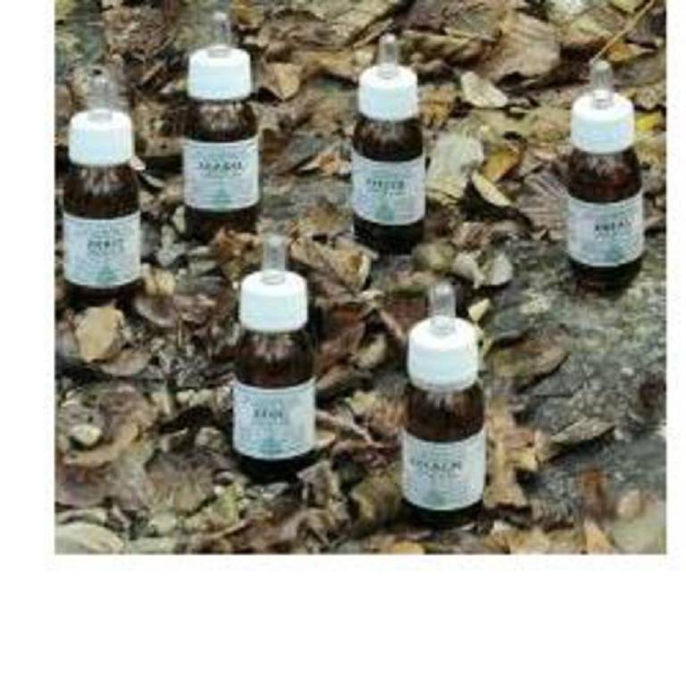 ZEOL OLIO MASS 50ML